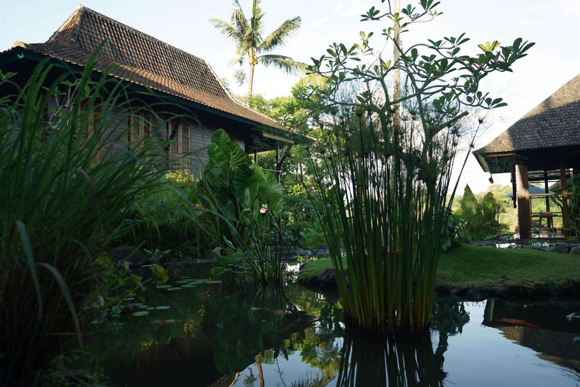Villa Amaru Ubud Eksteriør billede